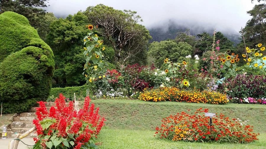 Explore Hakgala Garden
