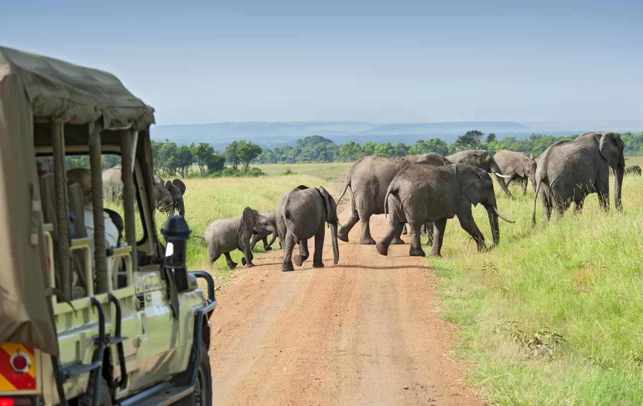 Kumana National Park Safari
